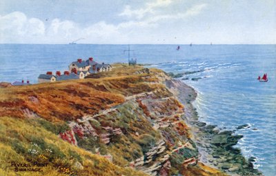 Peveril Point, Swanage by Alfred Robert Quinton